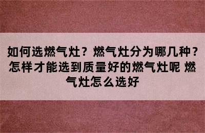 如何选燃气灶？燃气灶分为哪几种？怎样才能选到质量好的燃气灶呢 燃气灶怎么选好